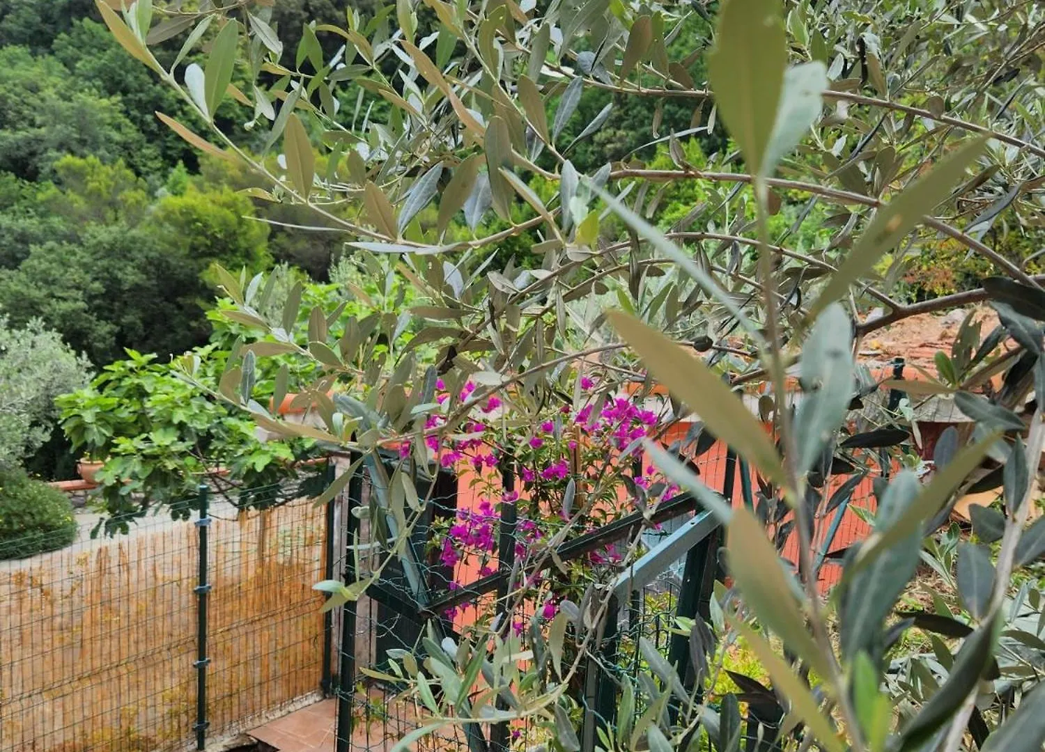 Casa Amelia Apartment Le Grazie